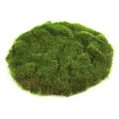 Countryfield Kunstmos Mat Ierland D 22 H 2 Cm