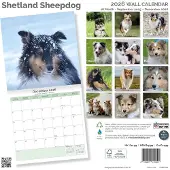 Baker & Bray Shetland Sheepdog Kalender 2027