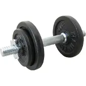 FINNLO 10kg Dumbbell Set Zilver 10 kg