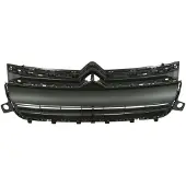 BLIC 6502-07-0554990Q Radiator grill