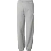 Armedangels Broek 'ICONIC ŠBAASTI' grijs / wit