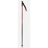 Rossignol Hero Sl Stokken