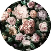 Komar Vliesbehang Zelfklevend vlies - Flower Couture - Afmeting 125 x 125 cm (1 stuk)