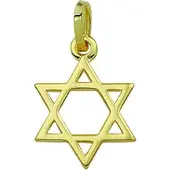 Marie-Celeste Hanger Davidster - Goud