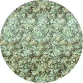 Komar Vliesbehang Zelfklevend vlies - Greenery - Afmeting 125 x 125 cm (1 stuk)