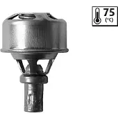 Valeo 819921 Thermostaat, koelvloeistof