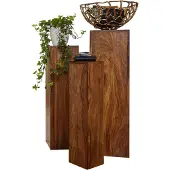Wohnling Bijzettafelset sheeshamhout bruin 24x85x24 cm