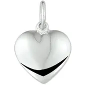 The Jewelry Collection hanger hart massief zilver gerhodineerd