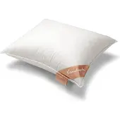 Vandyck Hoofdkussen Pure Nature 90% G.D.S. Zacht (60 x 70 cm)