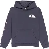 Quiksilver Omni Logo Hoodie Junior Maat: M