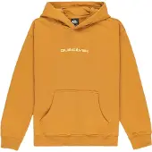 Quiksilver Salt Water Graphic Hoodie