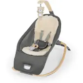 Ingenuity - Every Season Rocking Seat - Wesley - Flerfarvet