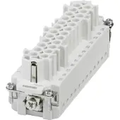 Phoenix Contact 1423828 Contactinzetstuk 24 + PE Trekveeraansluiting 1 stuk(s) Piece