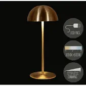 Anna's Collection Oplaadbare tafellamp USB goud 9,5x22cm goud Metaal Tafellamp
