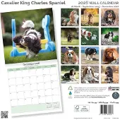 Baker & Bray Cavalier King Charles Spaniel Kalender 2027
