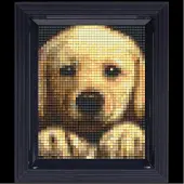 Pixel Pixelhobby set met lijst - hond