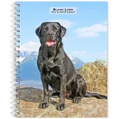 BrownTrout Labrador Retriever Zwart Agenda 2026