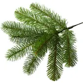 Van Der Gucht National Tree Company 31HPEBY60 Bayberry - 183 cm