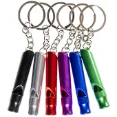 Duckiez Sleutelhanger Fluit Lang Metaal - 12 stuks