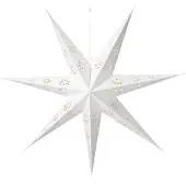 Intratuin Kerstster Wit Met Verlichting D 60 H 10 Cm