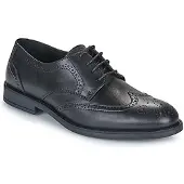 Carlington Nette schoenen LOUVIAN heren 41