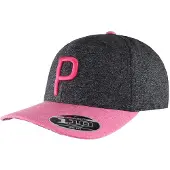 Puma Golf P110 Heren Grijze Pet