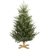 Molecule Our Nordic Christmas 31HARKDG152 Arkansas Dark Green Wooden LB Base - 152 cm
