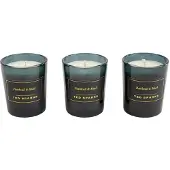 Ted Sparks Patchouli & Musk Gift set 3 st