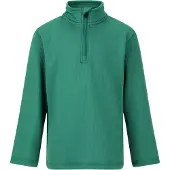 ZigZag Shirt 'Irwin' groen
