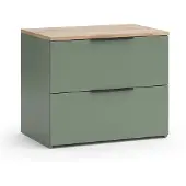 Vicco Wido Dressoir – 60 x 50 cm met 2 laden Groen