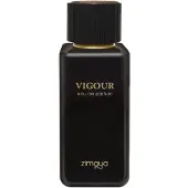 AFNAN Vigour Eau de Parfum 100 ml