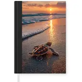 MuchoWow Schildpad - strand - Zonsondergang