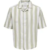Only & Sons Overhemd 'Tes' bruin