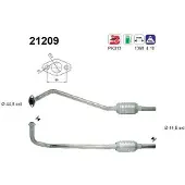 As 21209 Katalysator