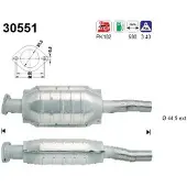 As 30551 Katalysator