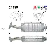 As 21189 Katalysator