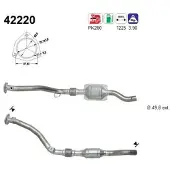 As 42220 Katalysator