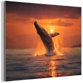 MuchoWow Aluminium schilderij 40x30 cm - Wanddecoratie metaal - Walvis - Zon - Zee - Metalen muurdecoratie woonkamer - Decoratie industrieel - Foto op dibond - Industriële accessoires slaapkamer