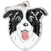 My Family Naamplaatje Voor Border Collie