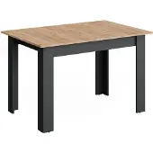 Vicco Eettafel Repose, Antraciet/Goudkleurig Eiken, 120-160 x 80 cm Uitschuifbaar