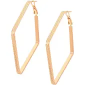 NAEMI Oorbellen goud / rose-goud