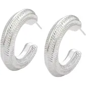 NAEMI Oorbellen zilver