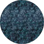 Komar Vliesbehang Zelfklevend vlies - Azul - Afmeting 125 x 125 cm (1 stuk)