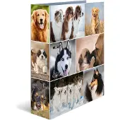 Herma Ordner A4 Hunde