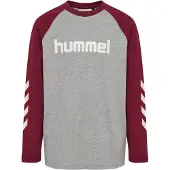 Hummel Functioneel shirt grijs gemêleerd / bourgogne