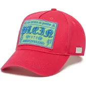 Philipp Plein Pet gemengde kleuren / fuchsia