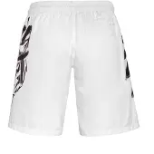 Plein sport Zwemshorts 'Tiger' grijs / zwart / wit
