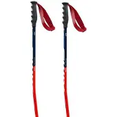 Swix World Cup Pro Super-g Stokken