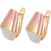 NAEMI Oorbellen goud / rose-goud