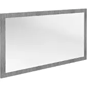 Sapho Nirox Spiegel met lijst 120x70cm, zilver eiken